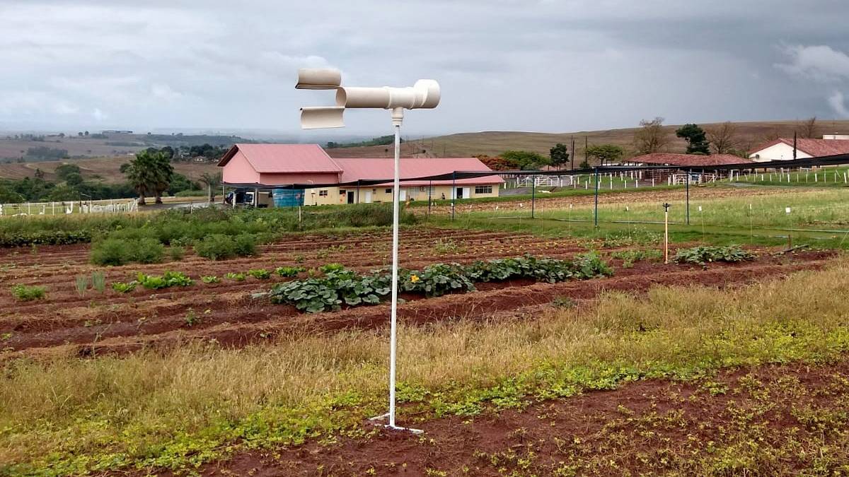 Pesquisadores do Paraná usam Inteligência Artificial para combate da ferrugem da soja