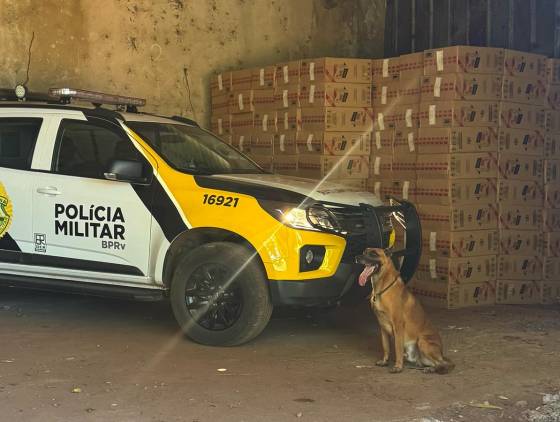 Ação da BPRv e cães resulta em apreensão milionária de cigarros contrabandeados em Jesuítas