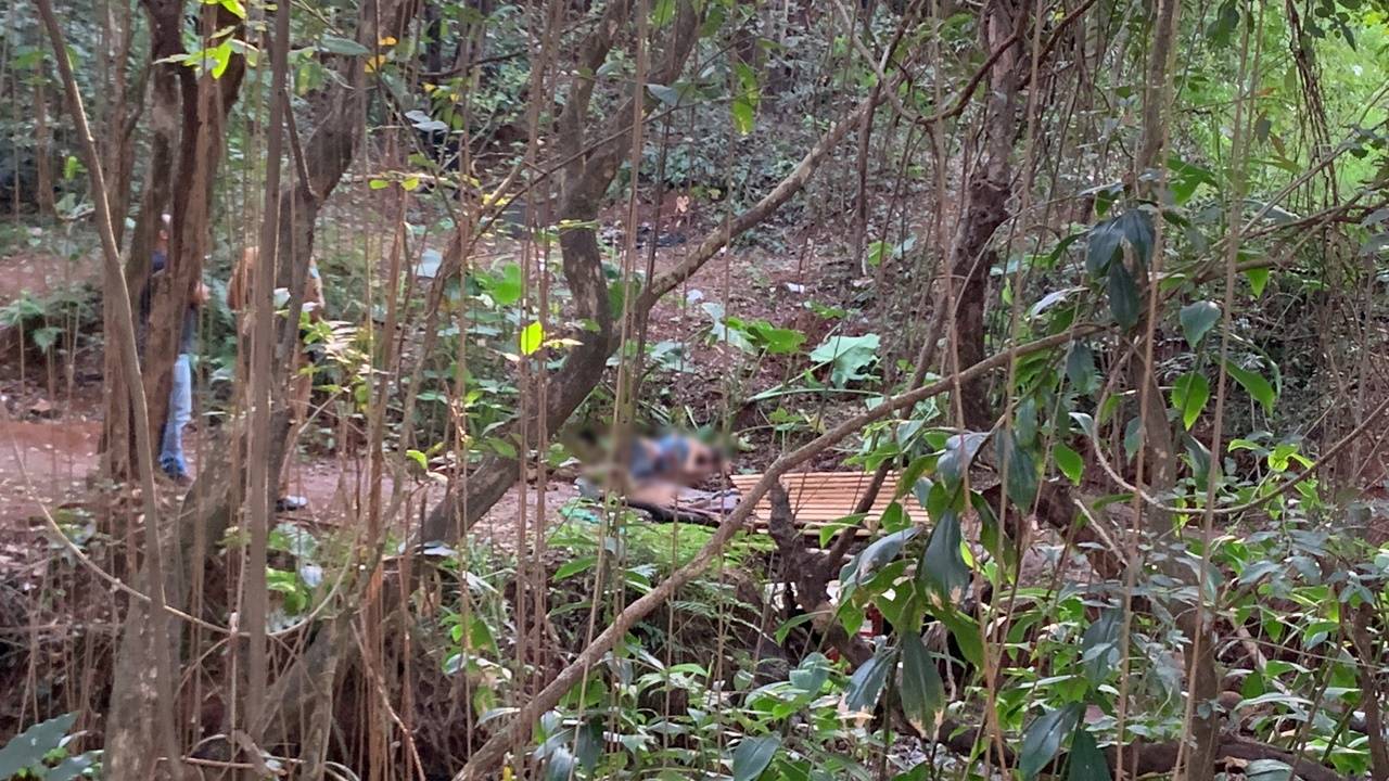 Mulher encontrada morta em córrego é identificada no IML por familiares SOT