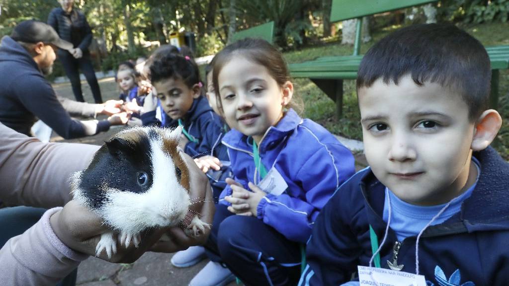 Dia das Crianças: Zoológico prepara programação especial para os pequenos