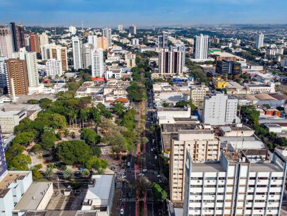 Conselho alerta prefeitos em mandato e eleitos dos prazos de conferências municipais