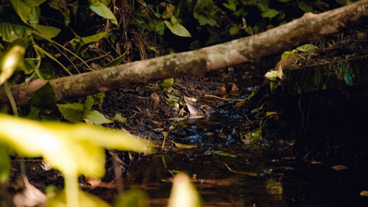 Novo programa fomenta ações de preservação de águas e nascentes