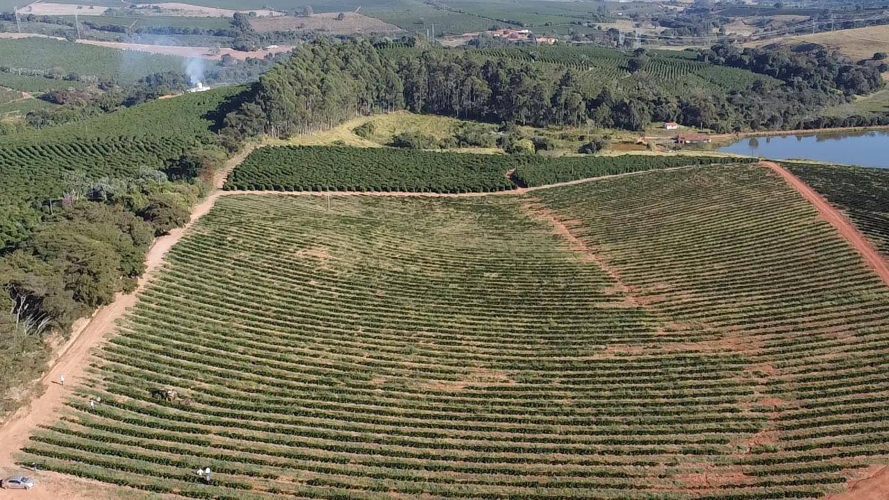 Mecanização e inovação impulsionam crescimento do setor do Café