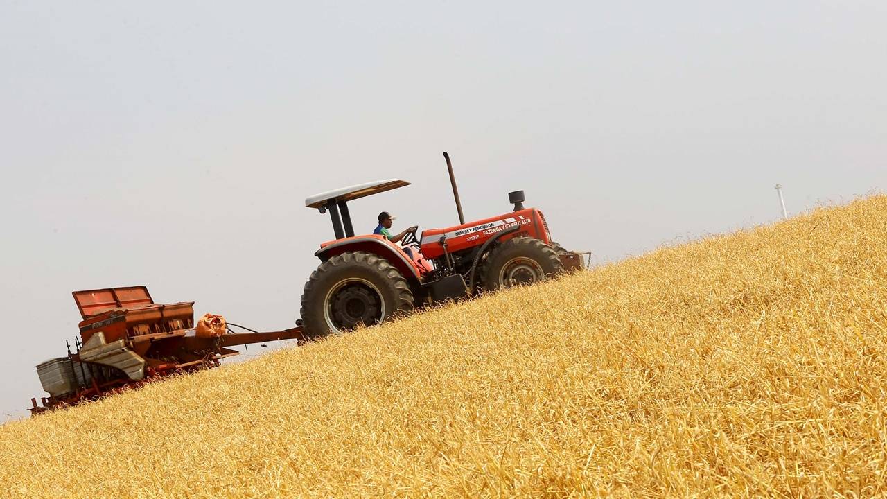 Boletim agropecuário mostra transição entre as safras de grãos e batata no Paraná