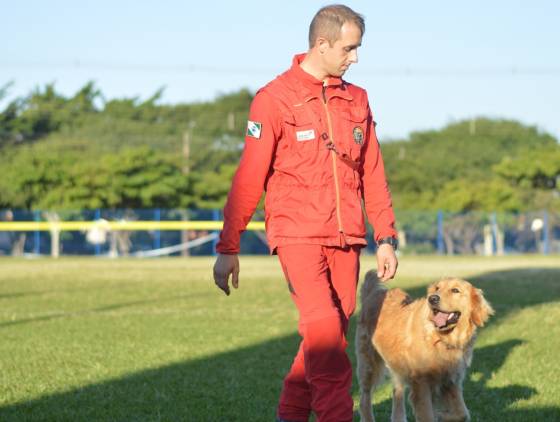 Com certificação nacional de duplas, Paraná amplia número de cães aptos para resgates