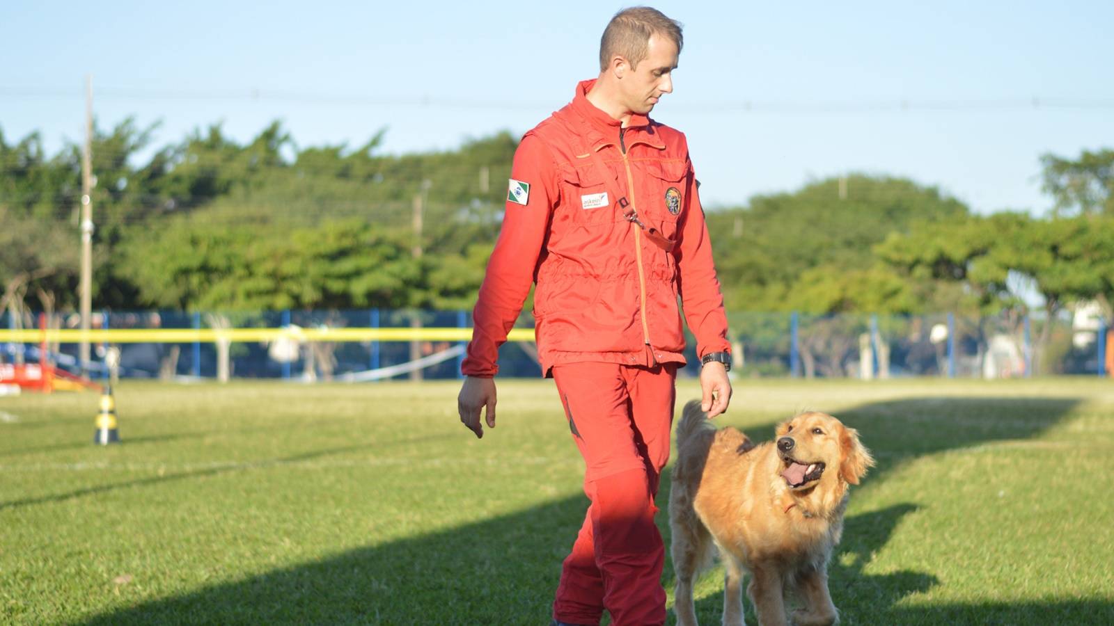 Com certificação nacional de duplas, Paraná amplia número de cães aptos para resgates