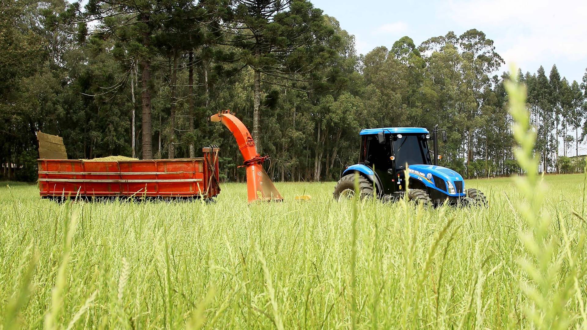 Governo renova Fundo de Aval para garantia em financiamentos à agricultura familiar