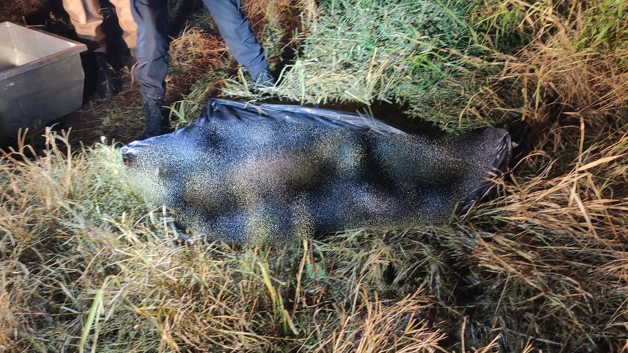 Corpo em avançado estado de decomposição é encontrado em área rural de Cascavel