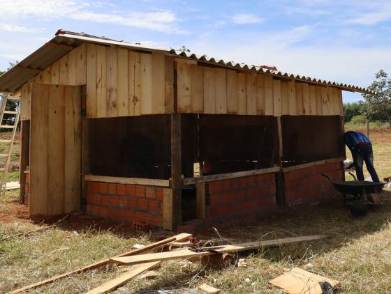 Galinheiros comunitários fortalecem segurança alimentar em comunidades indígenas do Paraná