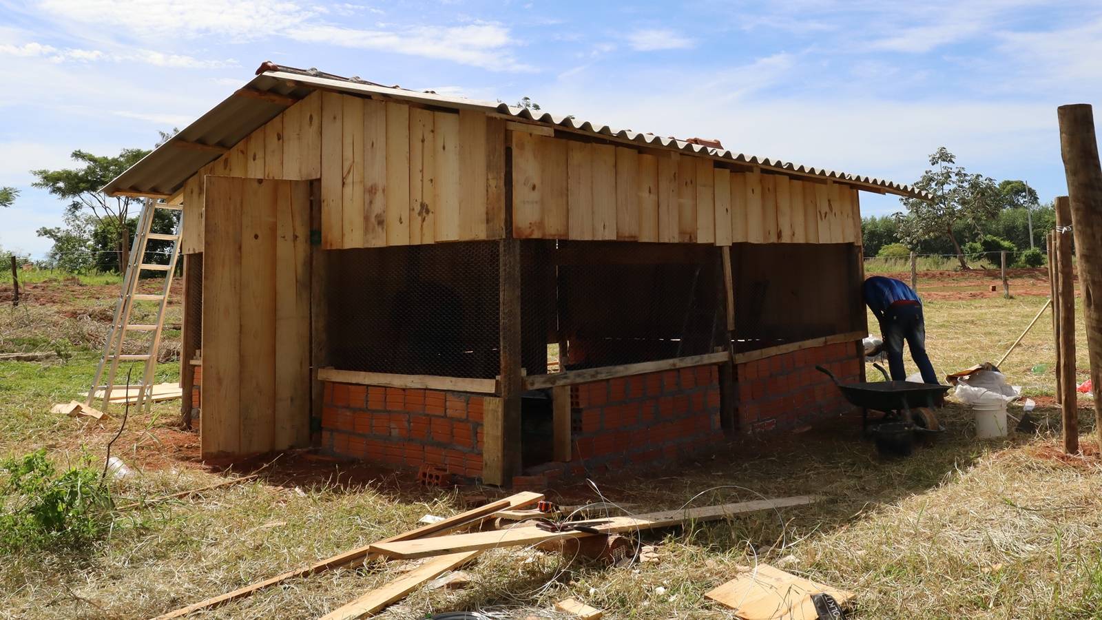 Galinheiros comunitários fortalecem segurança alimentar em comunidades indígenas do Paraná