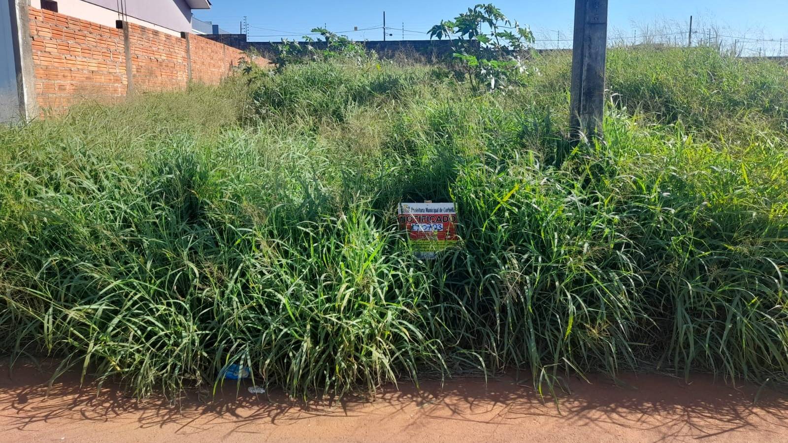 Fundamental para a Comunidade: Prefeitura de Corbélia alerta sobre a limpeza dos terrenos urbanos