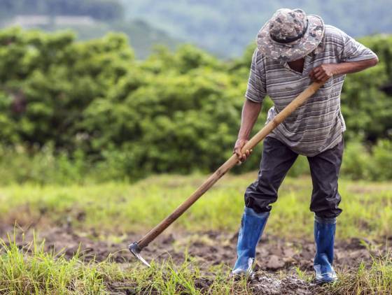 Sistema FAEP critica novo corte no PSR e defende fortalecimento do seguro rural