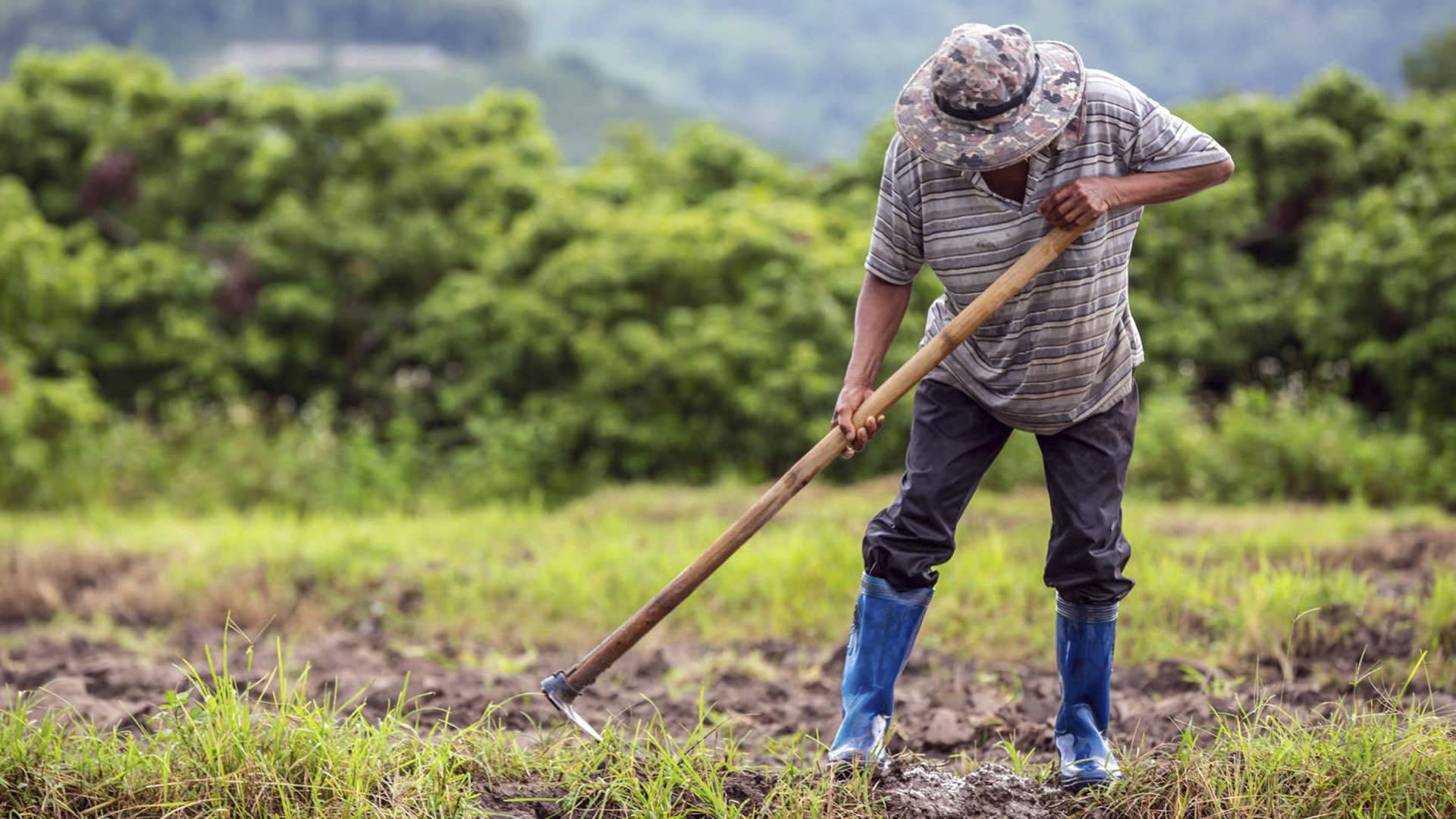 Sistema FAEP critica novo corte no PSR e defende fortalecimento do seguro rural