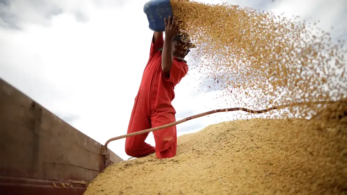 Com R$ 40 milhões do BNDES, cooperativa do Paraná modernizará armazenagem de grãos