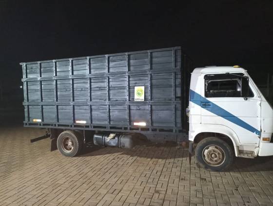 BPFRON apreende caminhão carregado com gado oriundo da Argentina em Santo Antônio do Sudoeste