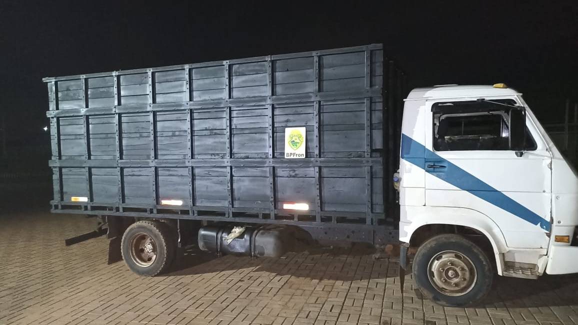 BPFRON apreende caminhão carregado com gado oriundo da Argentina em Santo Antônio do Sudoeste