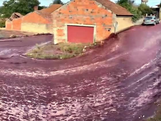Inundação Inusitada: Ruas de cidade portuguesa são tomadas por "Rio de Vinho"