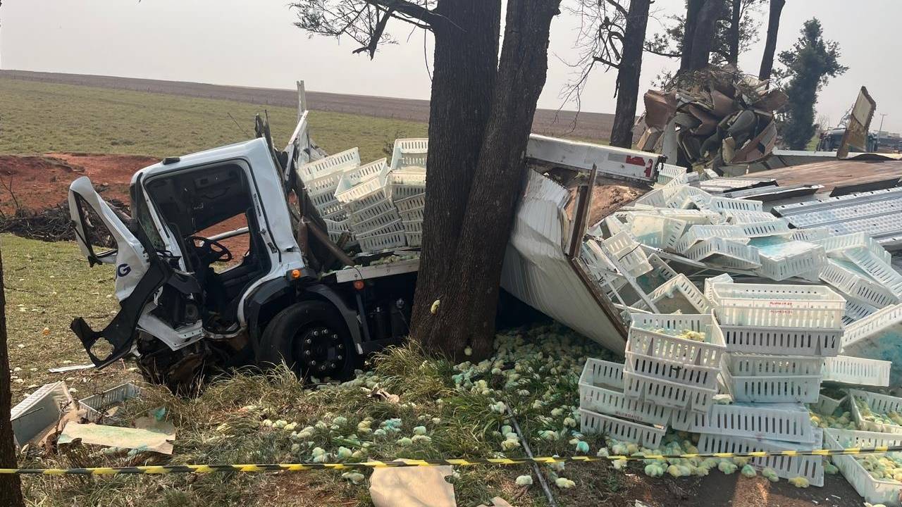 Caminhoneiro de 42 anos fica gravemente ferido após colisão com arvore na PR-182