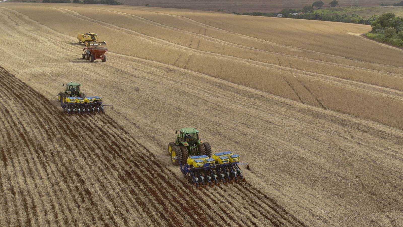 Com fim do vazio sanitário, plantio de soja começa em 5,8 milhões de hectares no Paraná