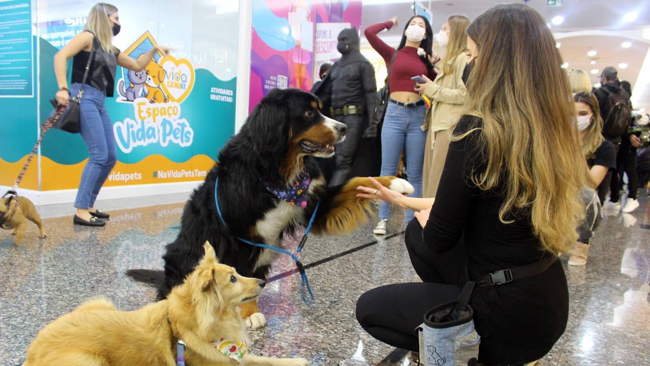 Campanha de férias gratuita de shopping cascavelense inclui atividades para os pets