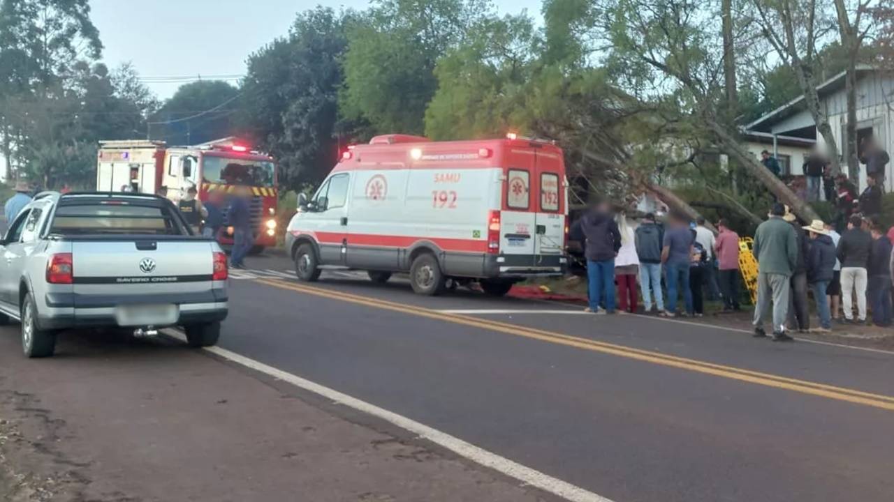 Caminhão sai da pista, colide em árvore e deixa motorista fica gravemente ferido na PR-471