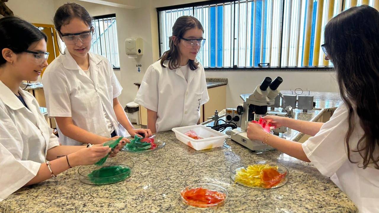 Estudantes de Cascavel desenvolvem plástico biodegradável a partir de fibra natural