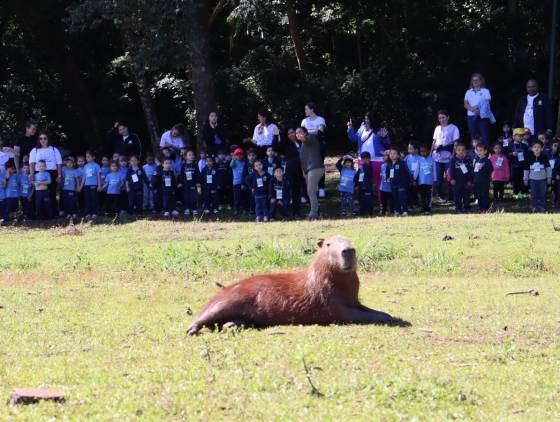 Pequenos do Cmei Paraíso da Criança conhecem de perto as capivaras