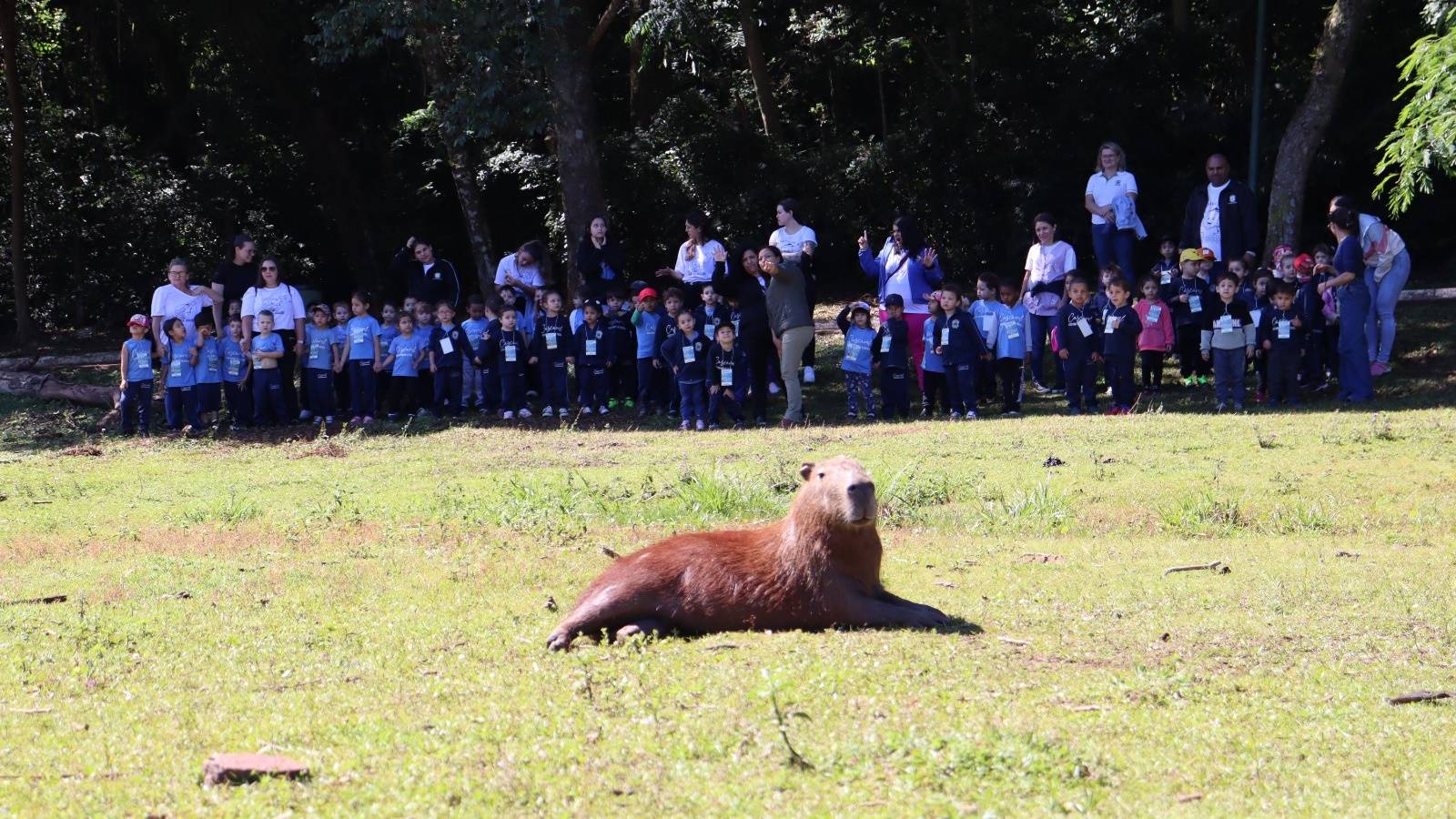 Pequenos do Cmei Paraíso da Criança conhecem de perto as capivaras