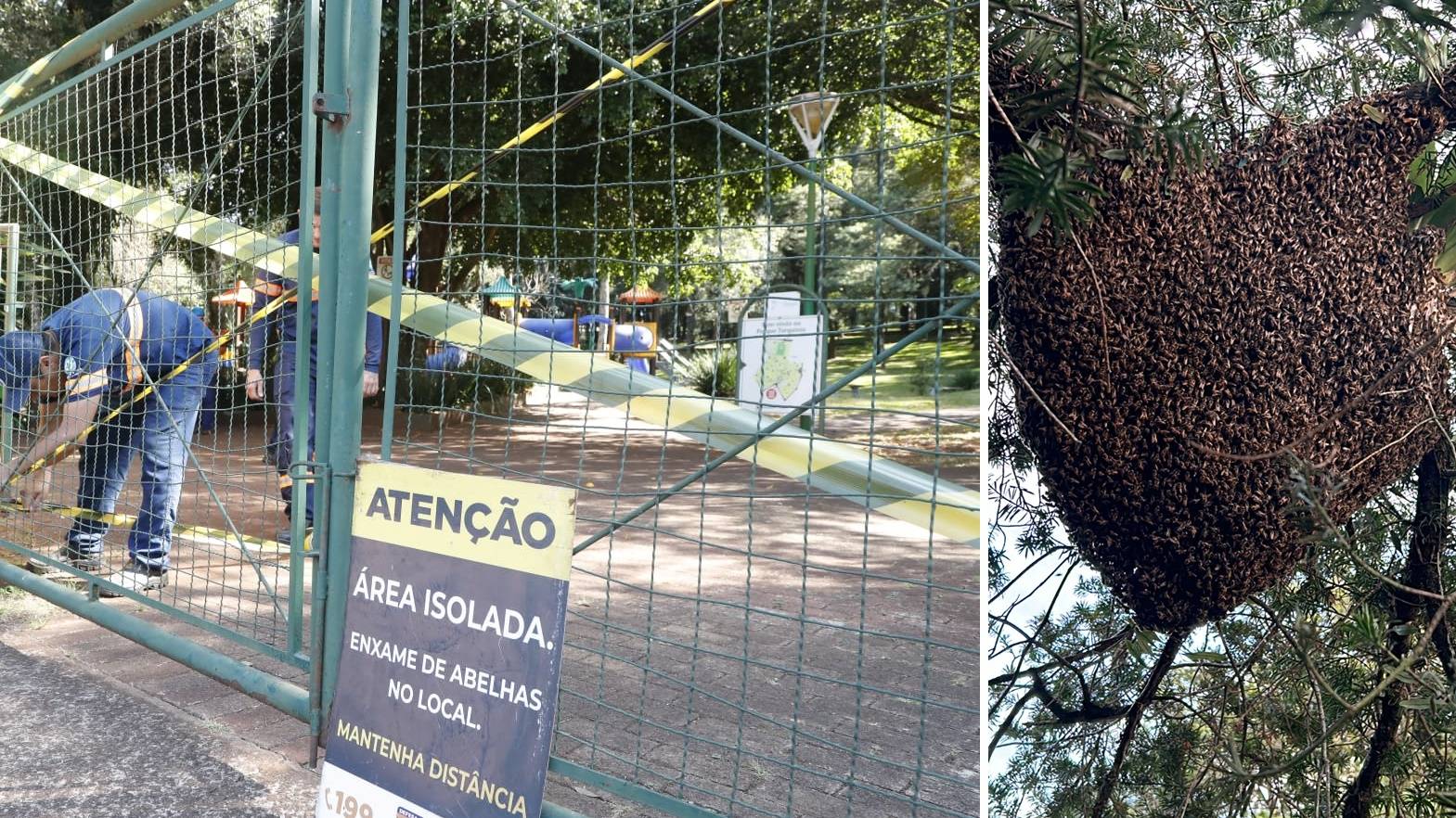 Enxame gigante fecha Parque Tarquíneo em Cascavel