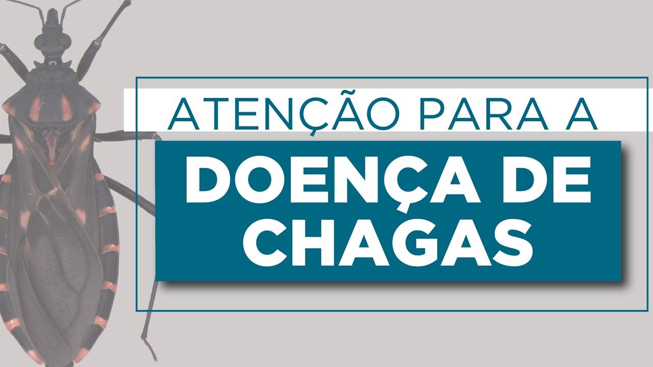 Doença de Chagas: Saúde divulga cartilha que alerta para importância da prevenção e tratamento