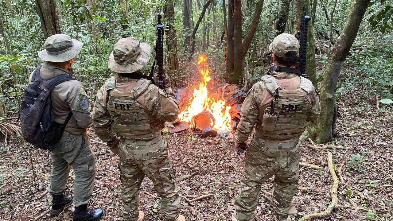 PRF, ICMBio e PF realizam operação de combate à caça ilegal dentro do Parque Nacional do Iguaçu