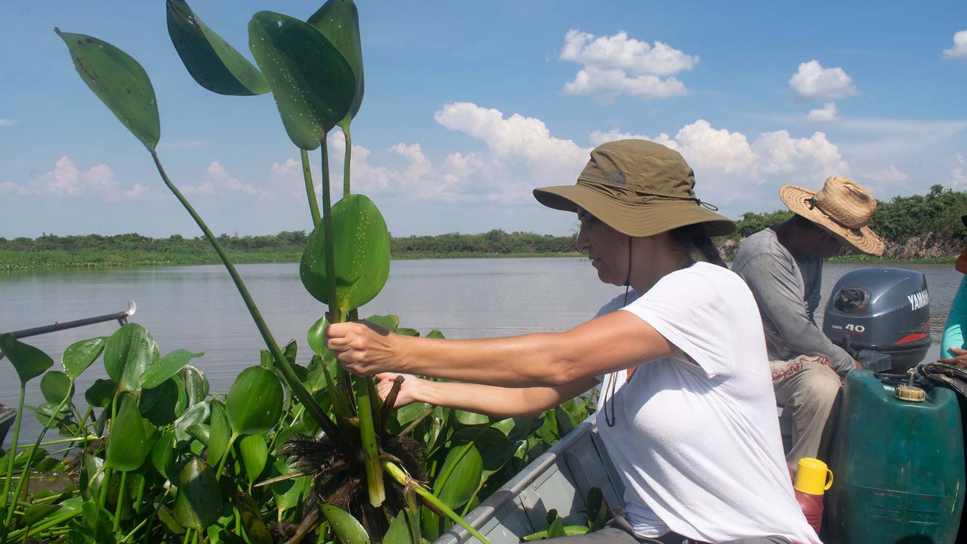 Startup apoiada pelo Estado do Paraná é uma das 20 empresas do mundo que participarão da COP16