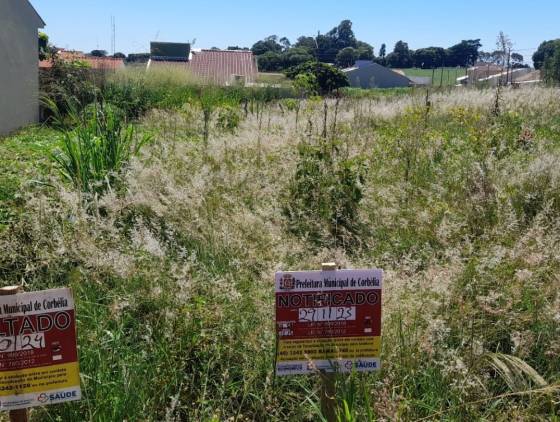 Corbélia intensifica combate a terrenos baldios e aplica mais de R$ 35 mil em multas em 2024