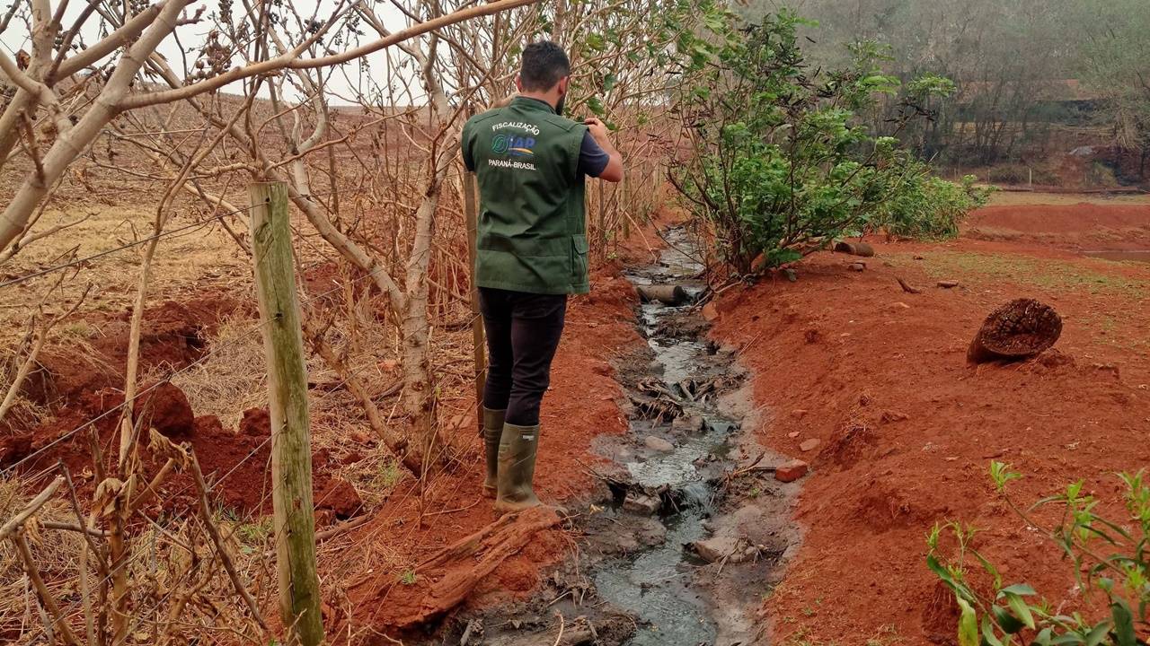 Suinocultor é multado em R$ 100 mil por infração ambiental em córrego de Toledo