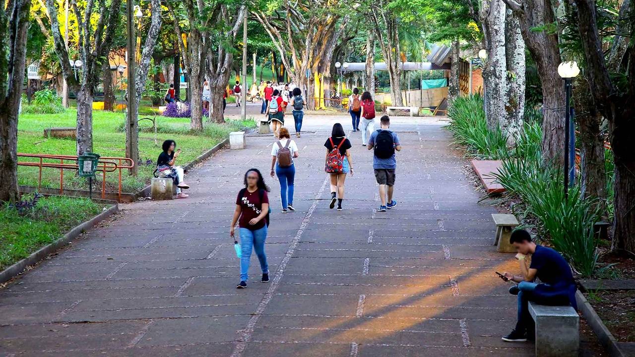 Ensino superior do Paraná está entre os mais bem avaliados do Brasil