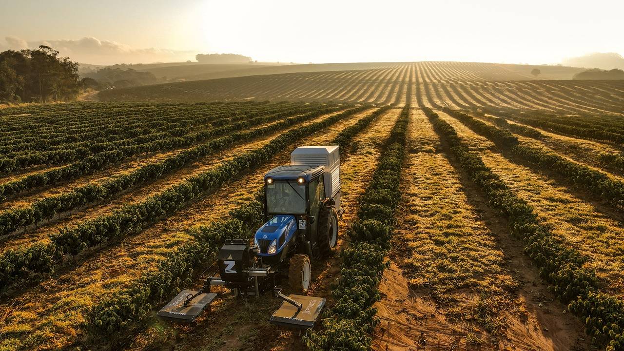 Produtores de citros e café podem contar com tecnologia que elimina daninhas sem herbicidas