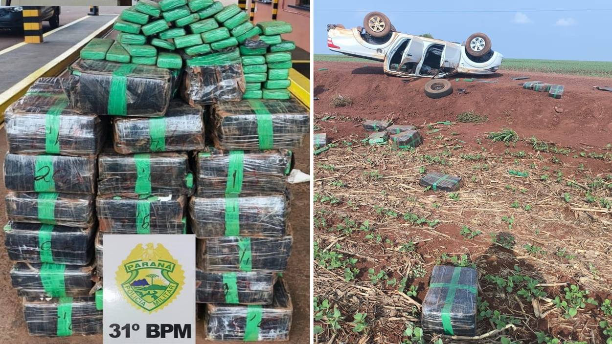 Polícia Militar apreende 430kg de maconha após capotamento em Assis Chateaubriand