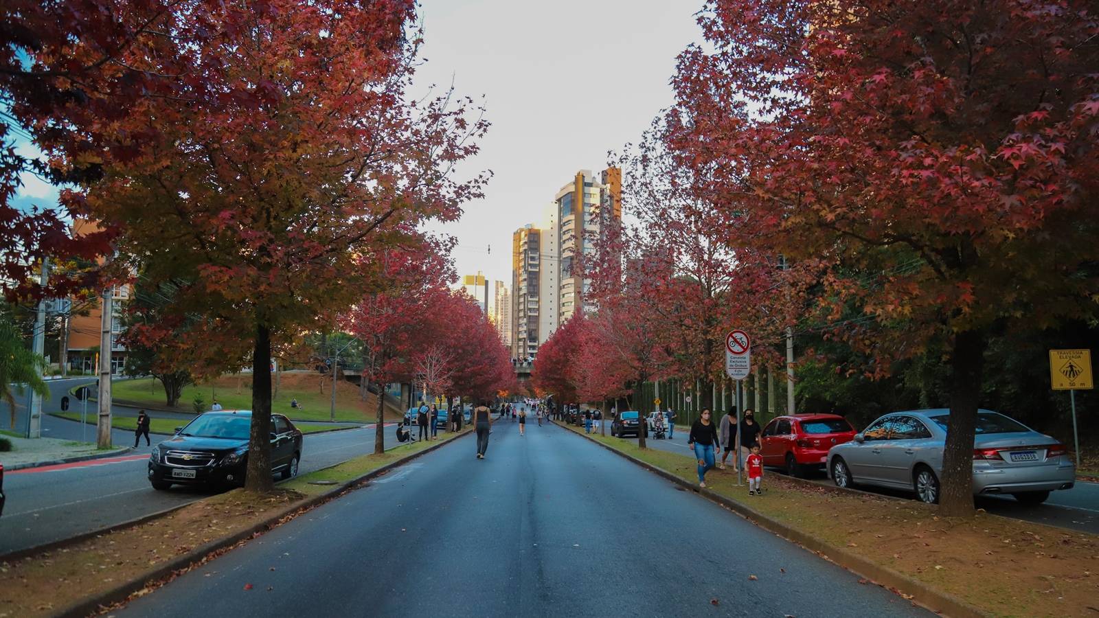 Outono terá temperaturas mais amenas do que 2024 e chuva abaixo da média no Paraná