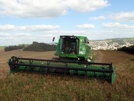 Paraná tem participação fundamental para aumento da safra de feijão no País