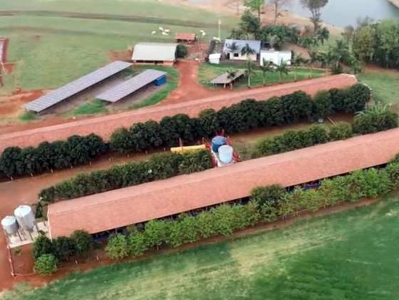 Cooperado da Coopavel vence Prêmio Orgulho da Terra na categoria suínos