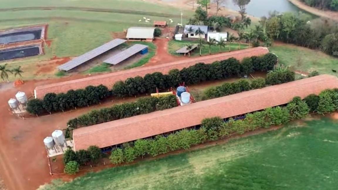 Cooperado da Coopavel vence Prêmio Orgulho da Terra na categoria suínos