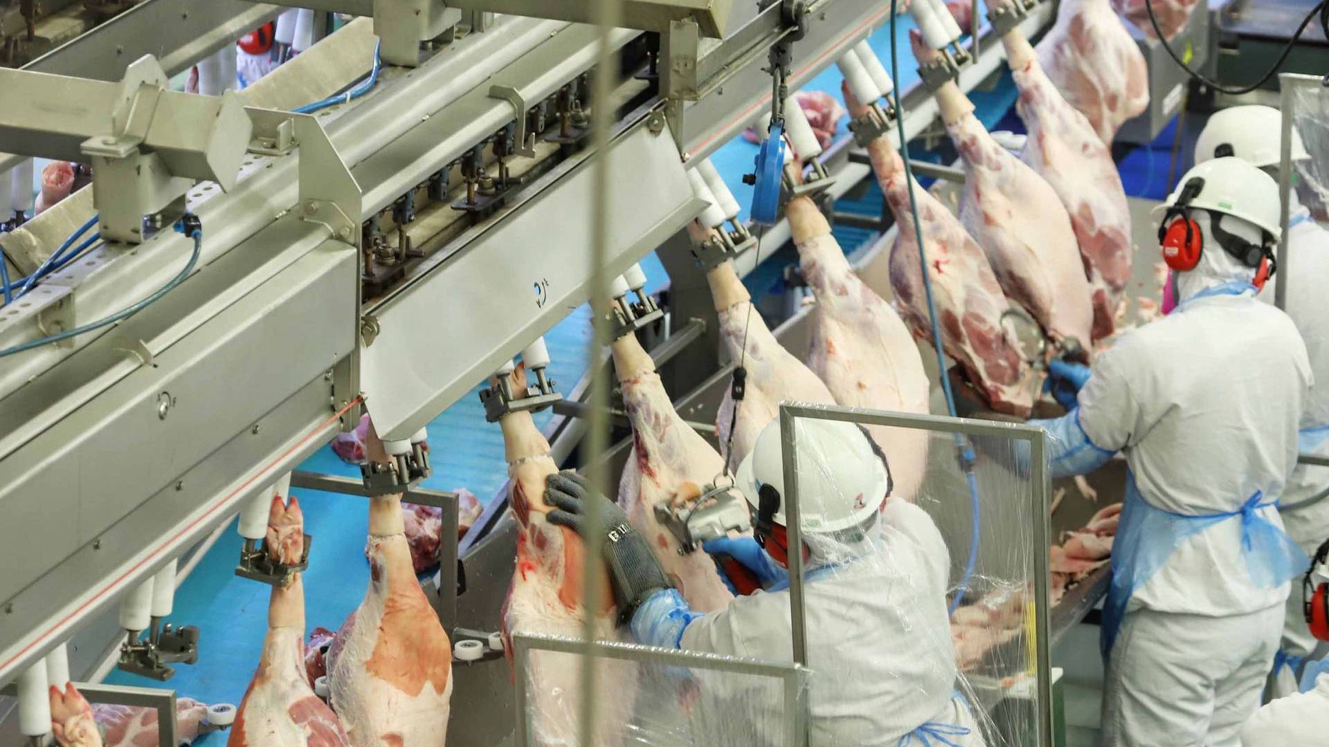 Estado ampliou a produção e o protagonismo na cadeia de carnes em 2020