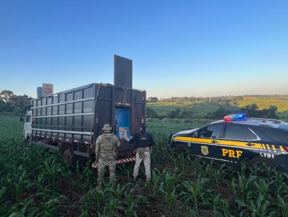 Contrabandista é preso após perseguição e apreensão de carga de cigarros na PR-180 em Cascavel