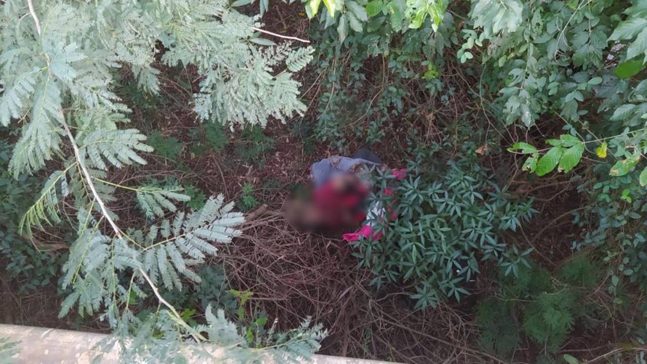 Corpo de homem amarrado é encontrado em meio ao mato às margens da PR-239 em Novo Sarandi
