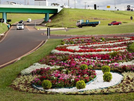 Primavera: Paisagismo em canteiros deixa Cascavel florida e mais bonita