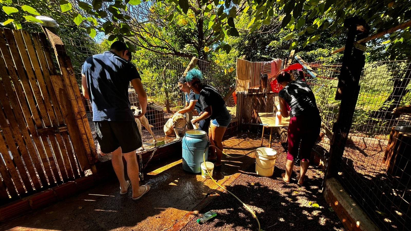 Solidariedade: Estudantes da UNIPAR arrecadam 160 kg de ração e levam carinho a animais resgatados