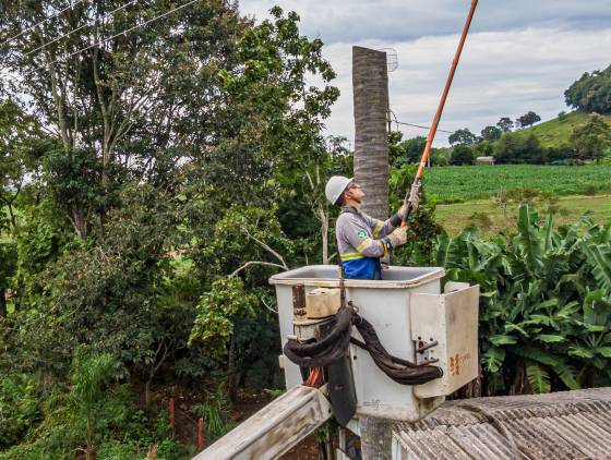 No Paraná, população que vive no campo conta com 20 mil km de novas redes elétricas