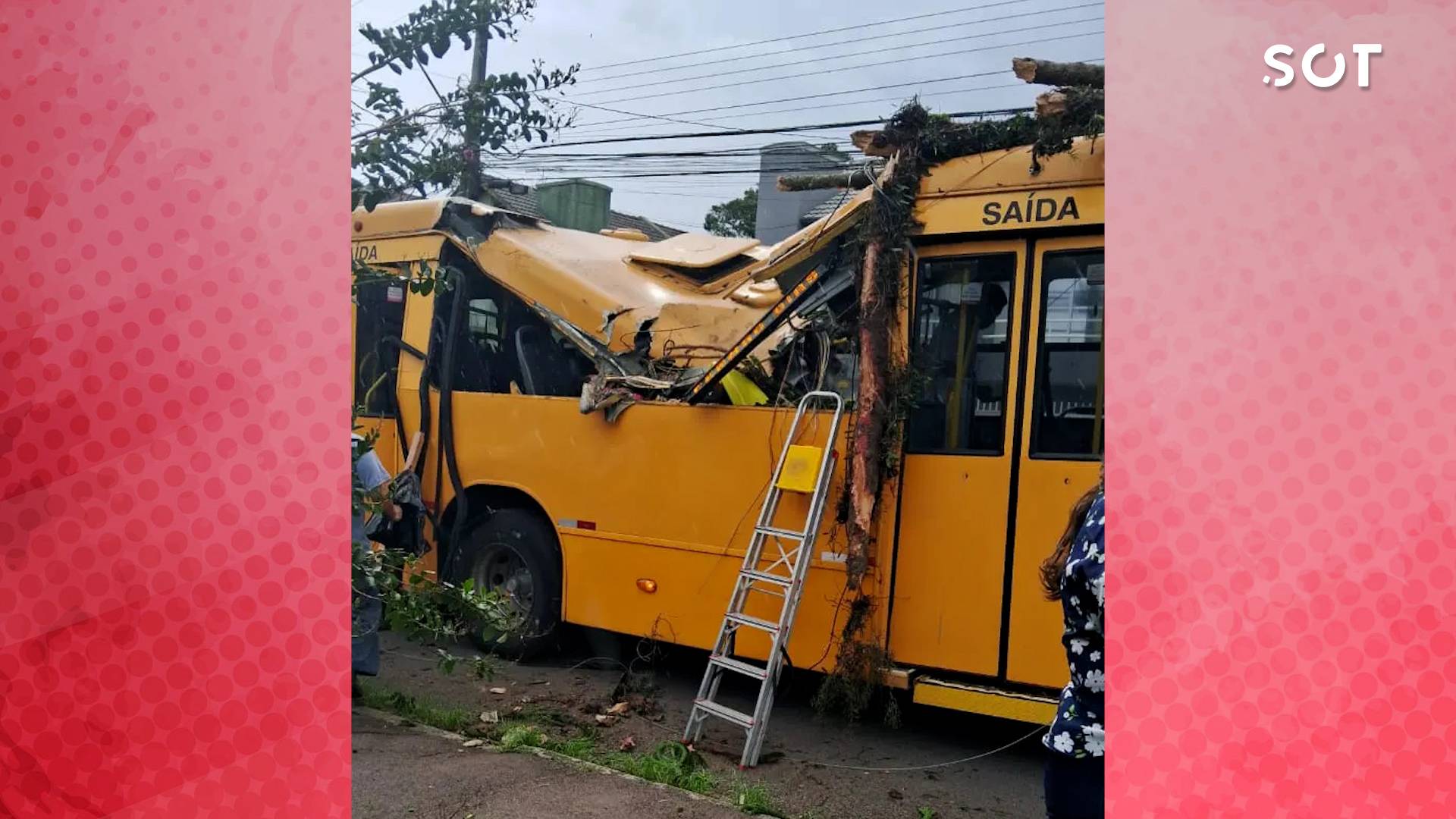 Árvore cai sobre ônibus em Curitiba deixando uma pessoa gravemente ferida