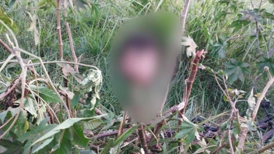 Crime brutal em Guaíra: Homem é encontrado decapitado e cabeça pendurada em árvore