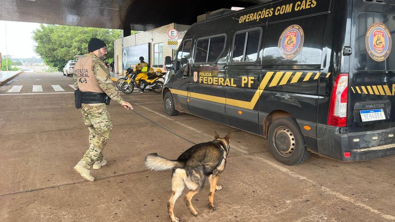 Polícia Federal recebe reforço com dupla canina, Nico e Naruto na região da tríplice fronteira
